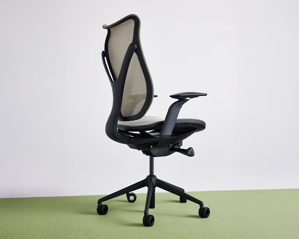 onda-back-view