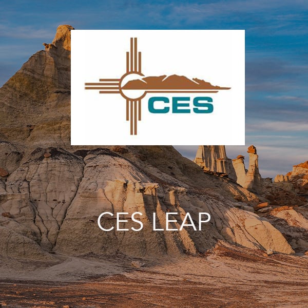 CES-leap