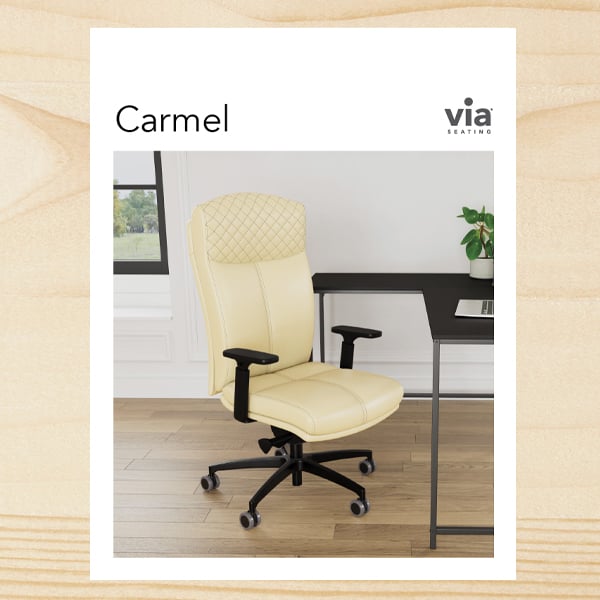 carmel-brochure