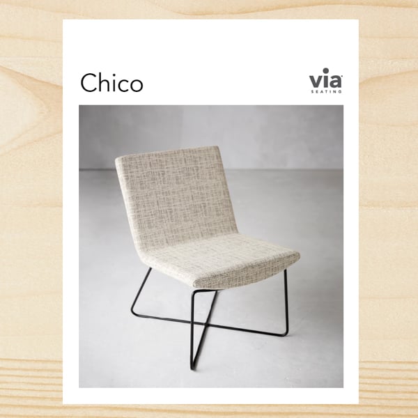 chico-brochure