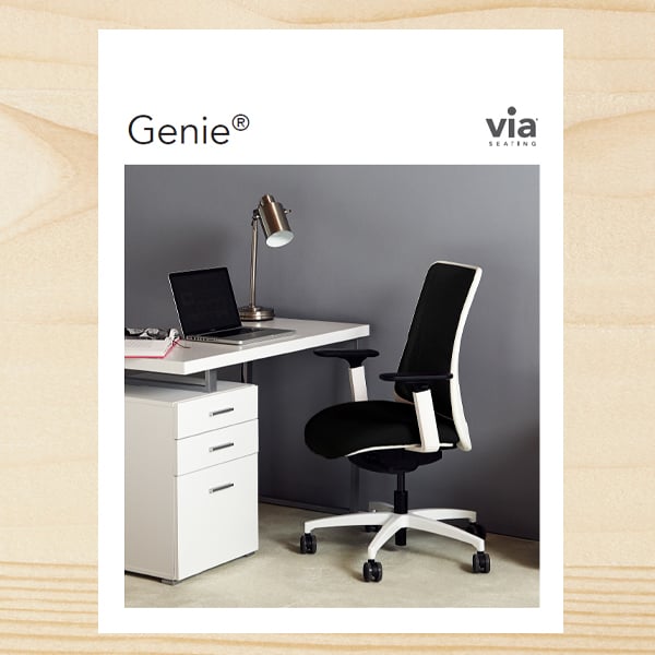 genie-brochure