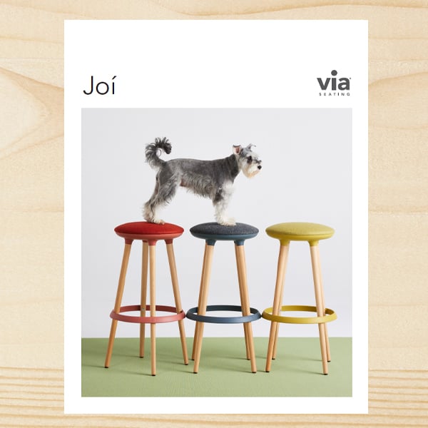 joi-brochure