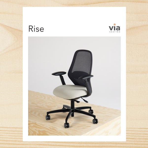 rise-brochure