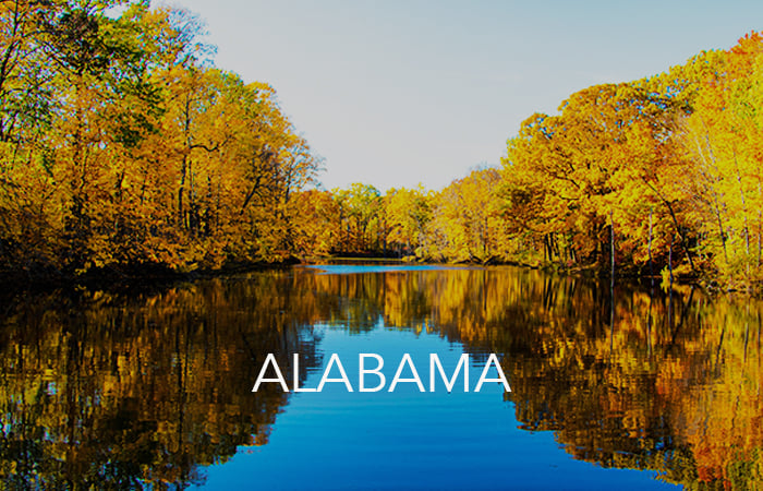 Alabama State Contract