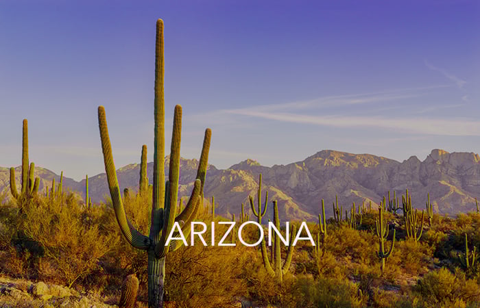 arizona