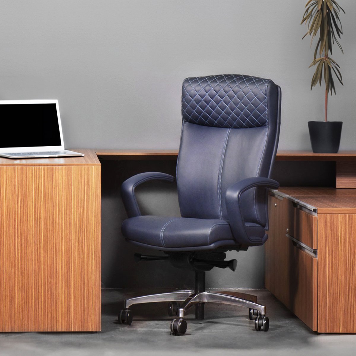 carmel-private-office-blue
