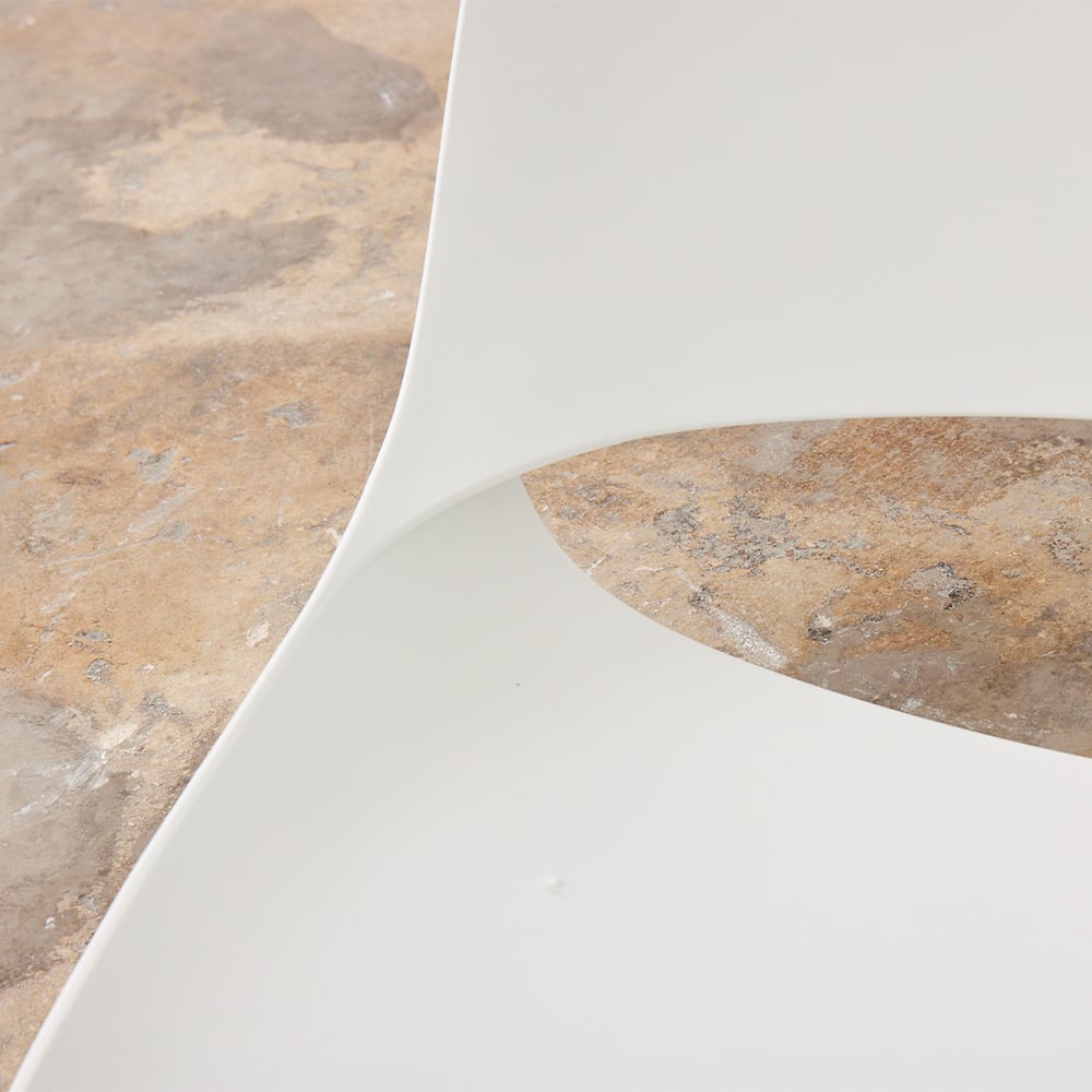 eclipse-white-shell-close-up