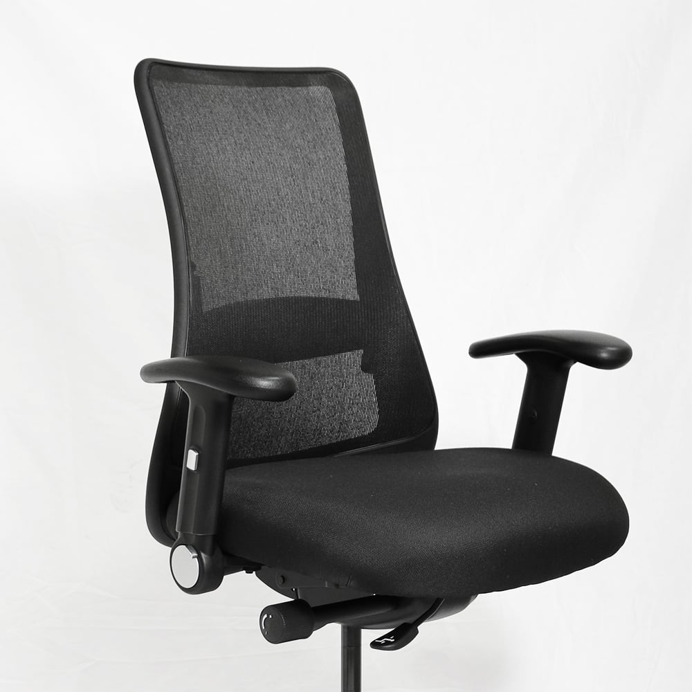 genie-black-framework-roll-back-arm-rolled-upright