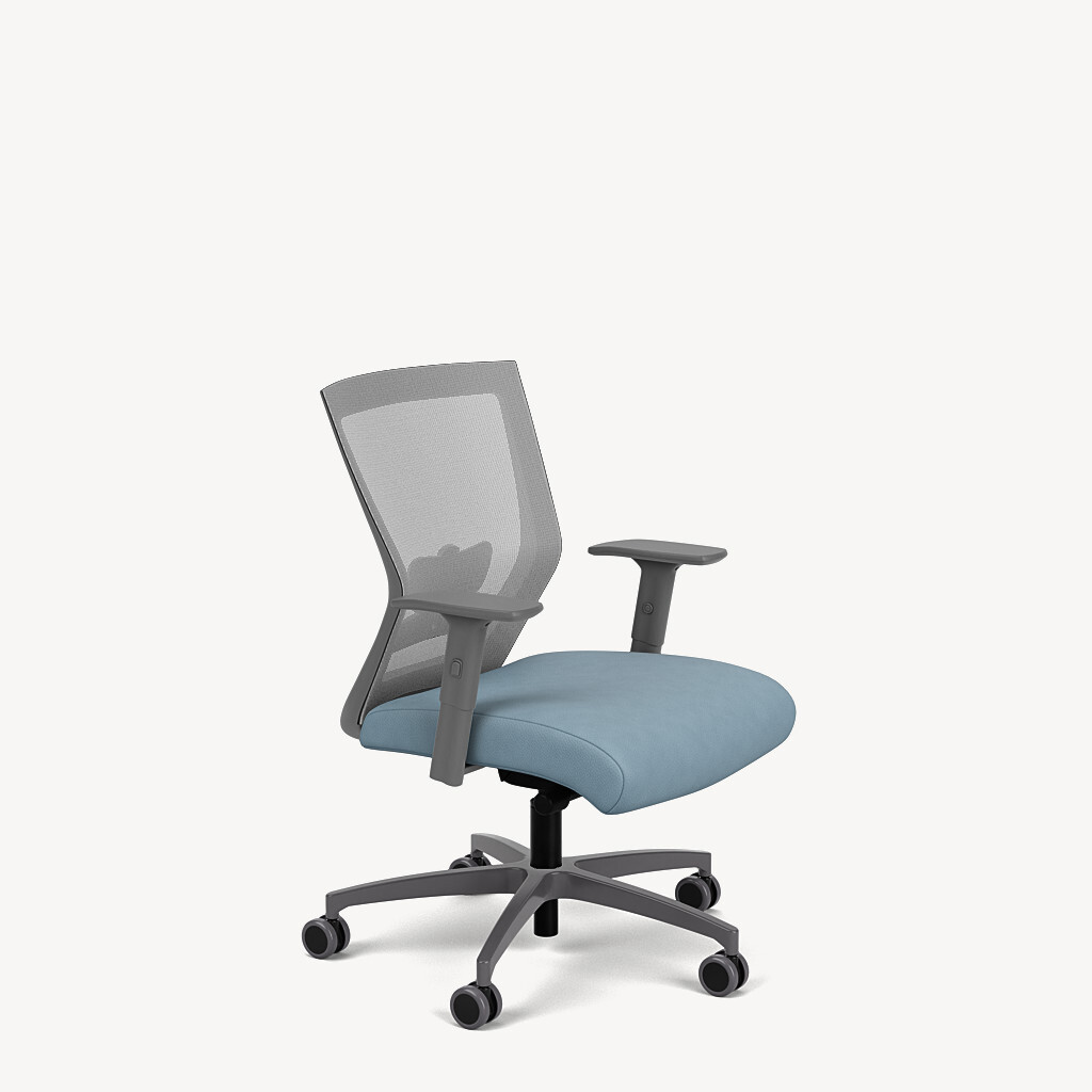 971-grey-framework-silver-mesh-basic-grey-arm-lumbar-blue-seat-front45
