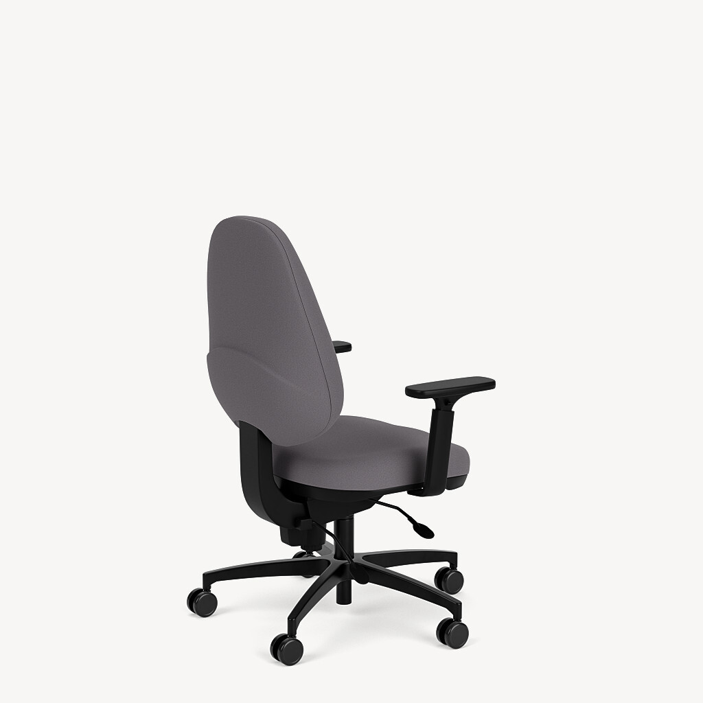 125-iron-adjustable-arm-black-framework-back45