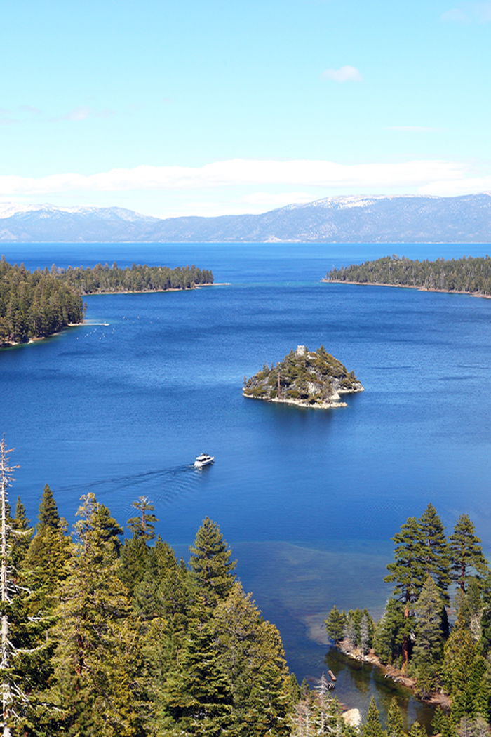 A helicopter view of a large body of water surrounded by pine trees