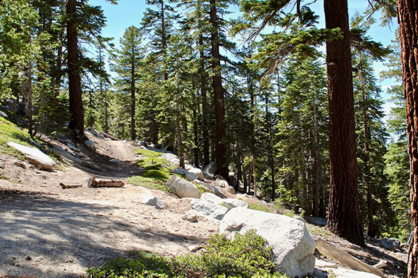 tahoe-trail