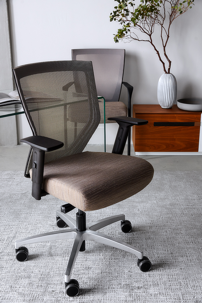 runII-mid-back-and-guest-office
