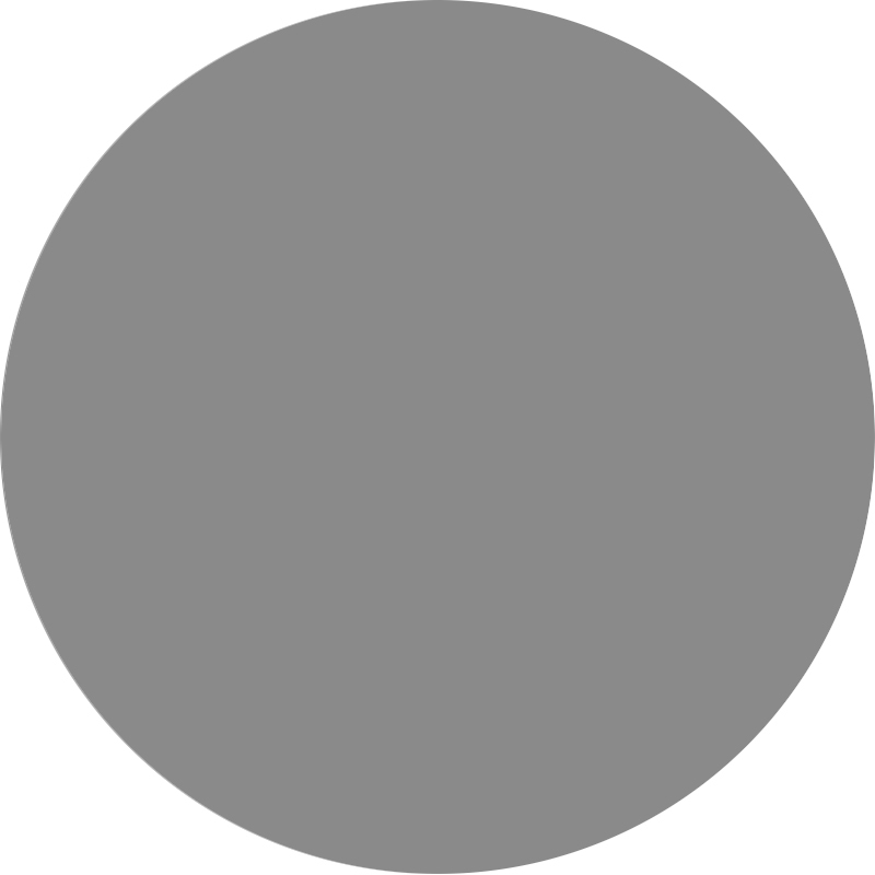 Light Grey (02AS)