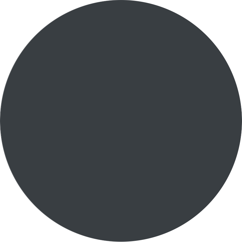 Micaceous anthracite (2)