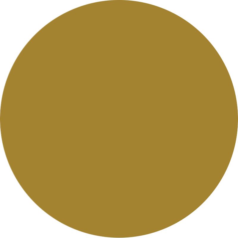 Gold star #28