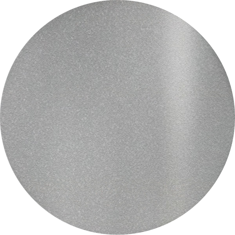 Silver #MS