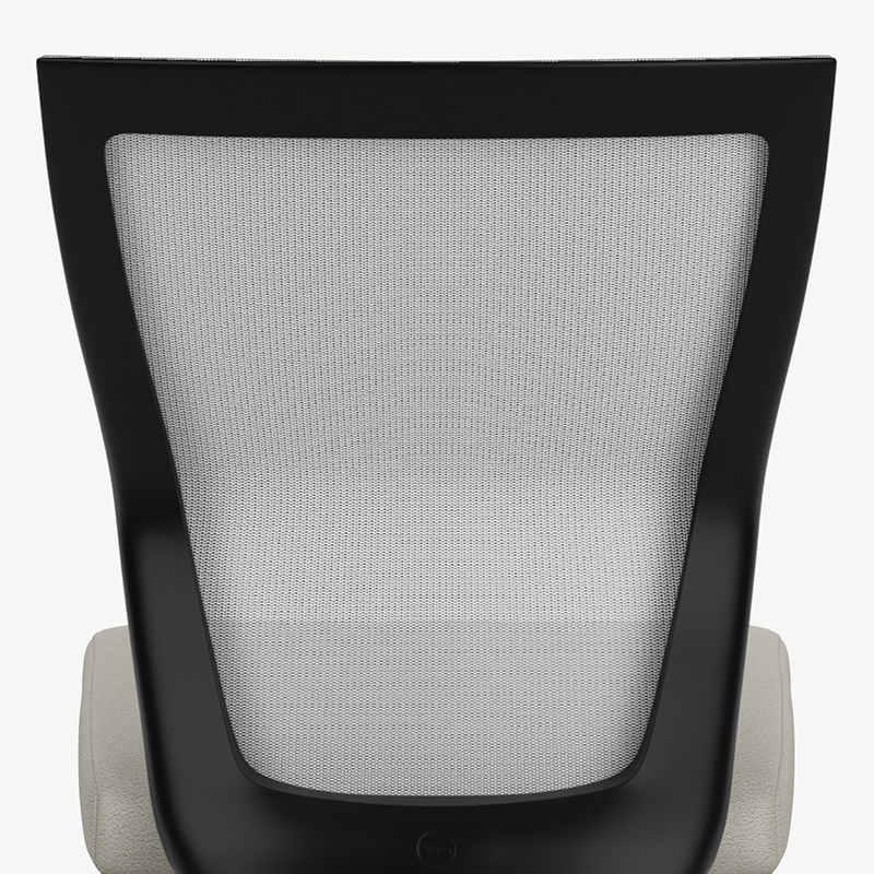 No adjustable lumbar